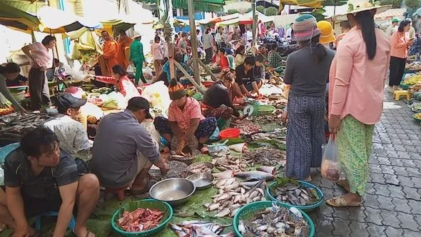 Wuhan Seefood Market back in business